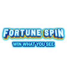 game-FanDuel Fortune Spin-logo