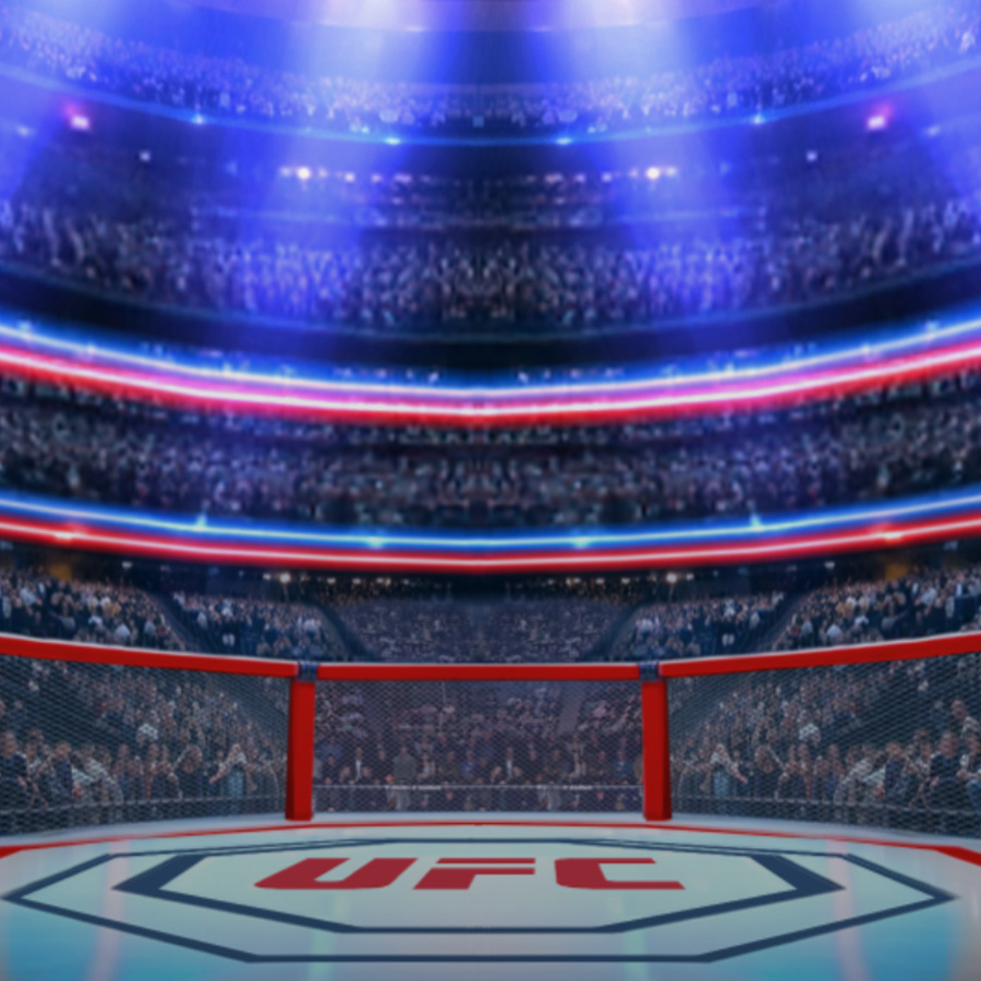 game-UFC Gold Blitz Ultimate-background