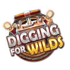 game-Digging for Wilds-logo