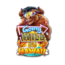 game-Going to Hawaii-logo