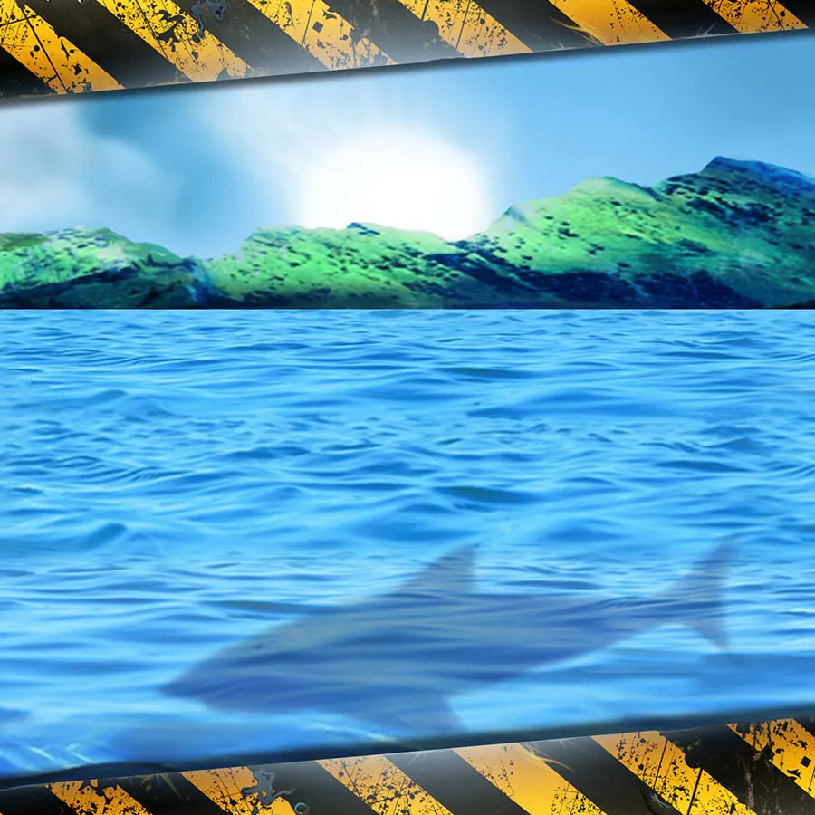 game-6 Wild Sharks-background