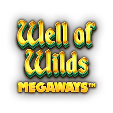 game-Well of Wilds Megaways-logo