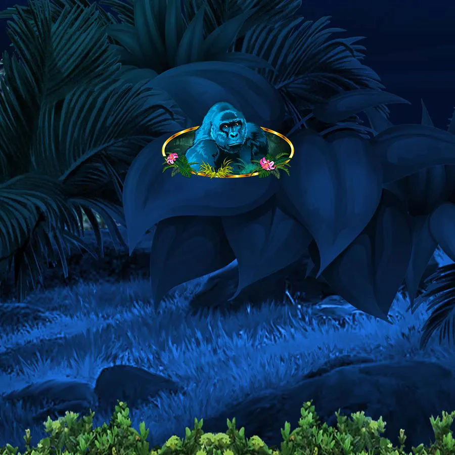 game-Congo Cash-background