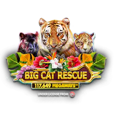 game-Big Cat Rescue Megaways-logo