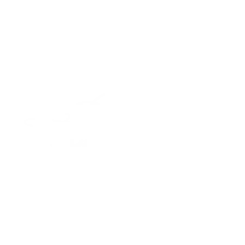 game-WHS Blackjack-logo