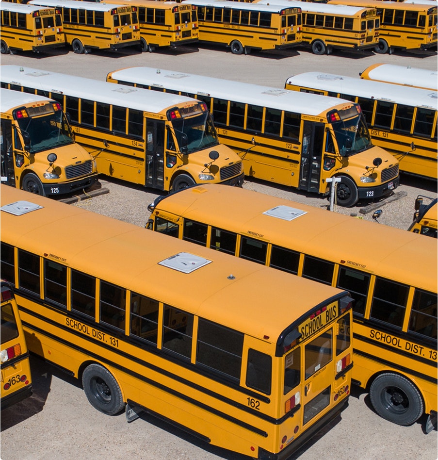 Fleet of school buses
