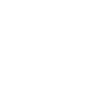 LSFF