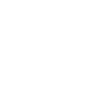 Shuffle 2014