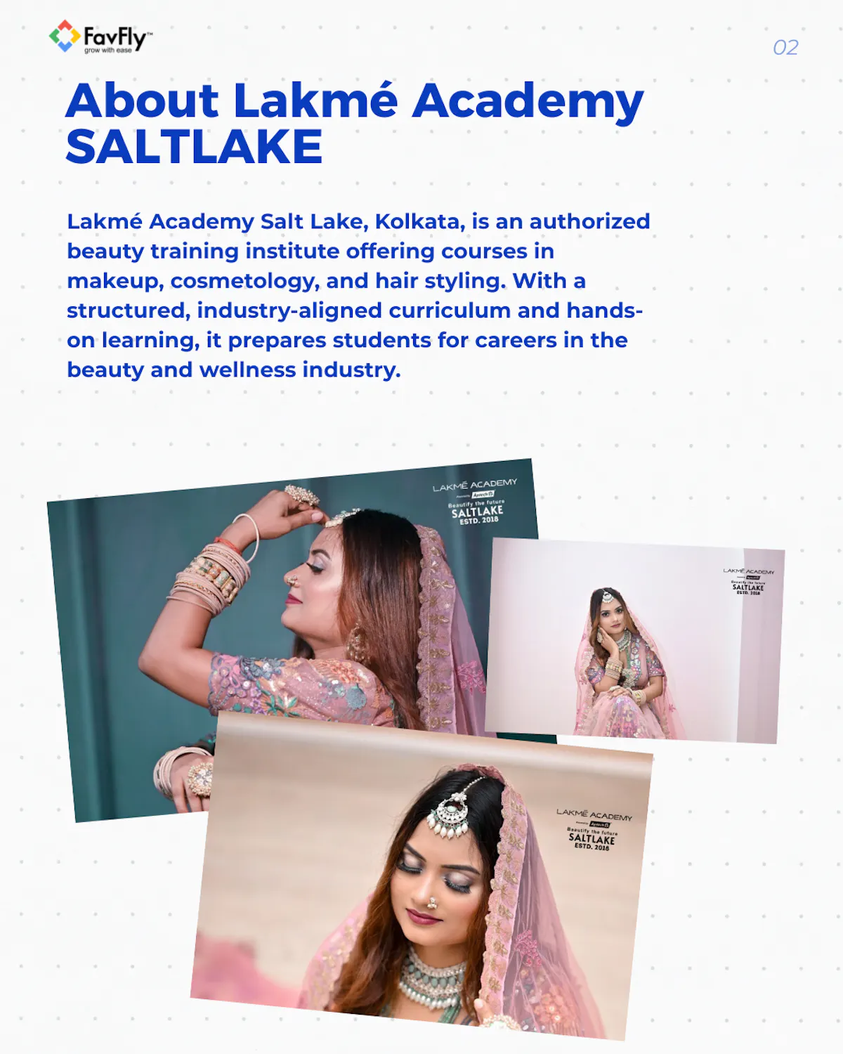 Lakme Academy Salt Lake Google Ads Portfolio
