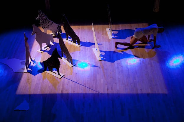 Above view of a performer crawling away from an arrangement of dog cut-outs on a wooden floor washed in deep blue light.