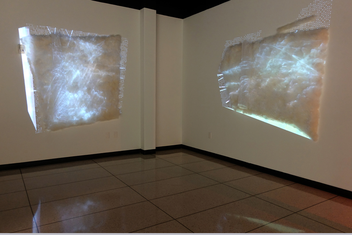  The Mary S. Byrd Gallery of Art at;;Augusta University: Bojana Ginn exhibition