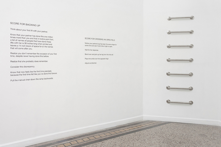 A photograph of the corner of two white walls. On the left wall imprinted in black are two paragraphs, on the right seven silver grab bars are glued to the wall.  