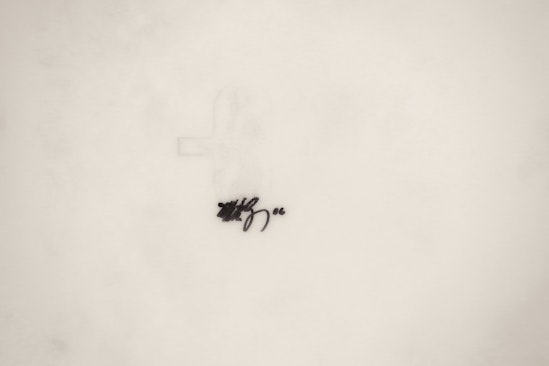 Matthew Barney, Drawing Restraint 9: Toya, 2006