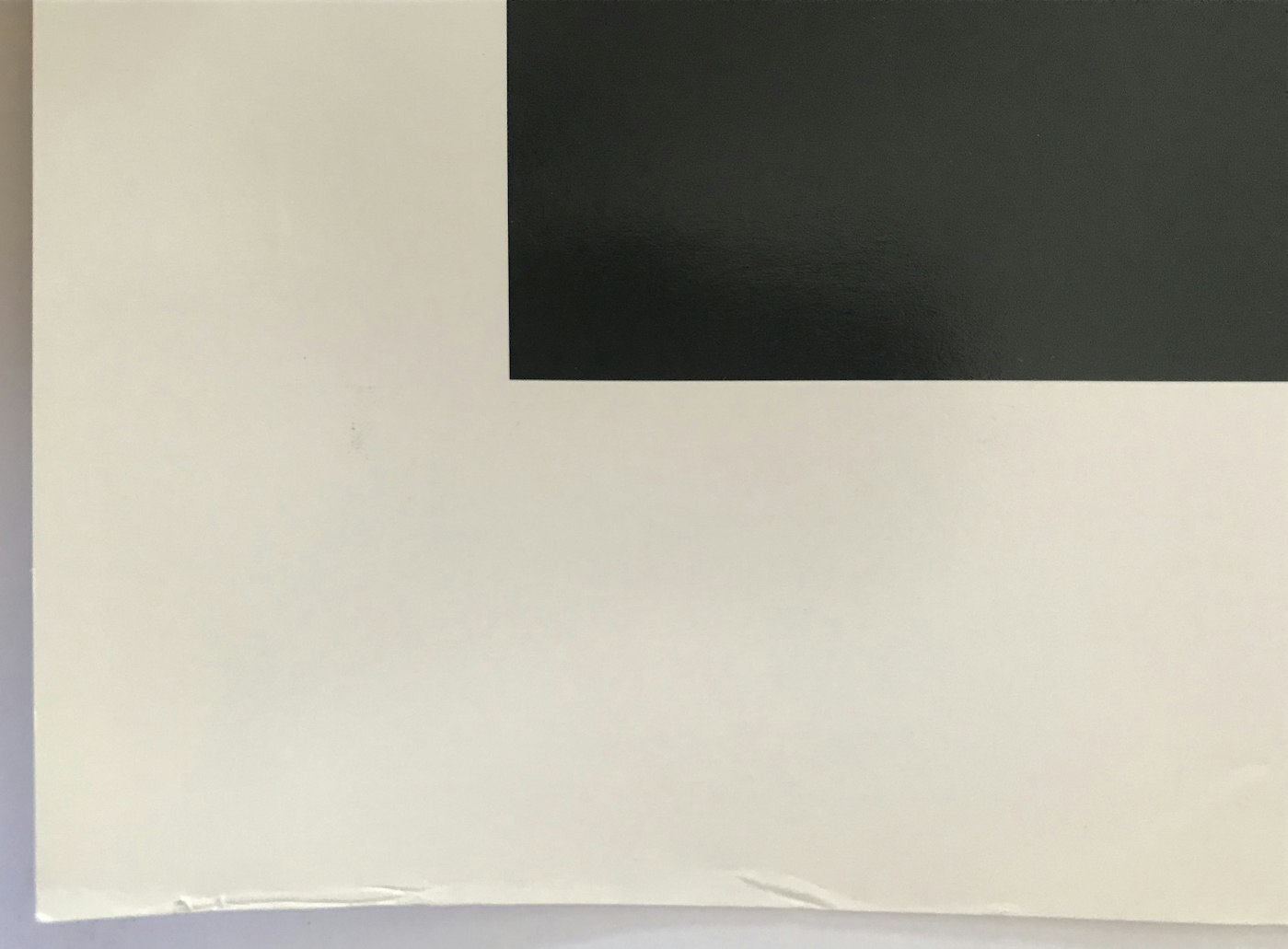Alex Katz, Large Birch, 2005, null