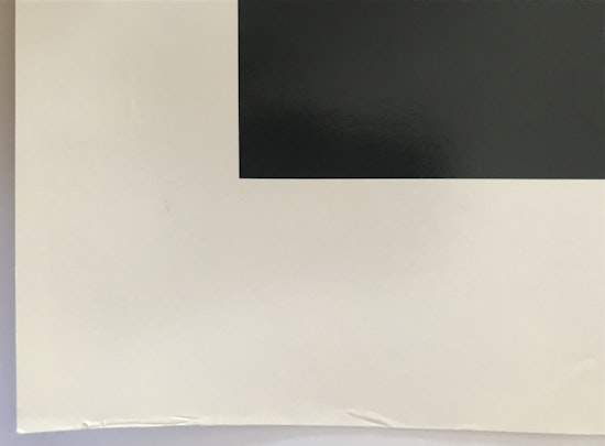 Alex Katz, Large Birch, 2005, null