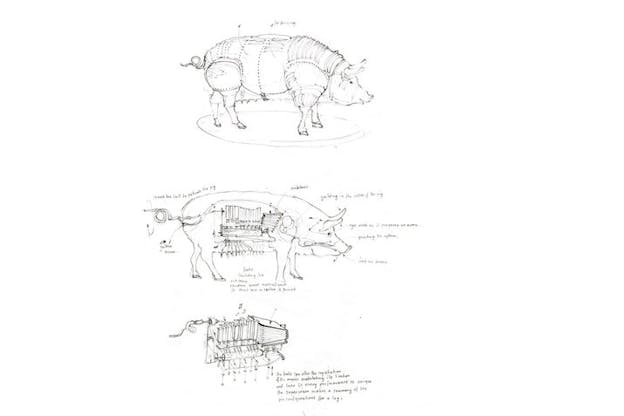 Three drawings of the mechanical pig including an image of the outside of the pig, one of the inside, and an image of just the machinery within the pig. These drawings are annotated with numerous arrows and notes such as one reading 