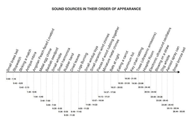 Chart of appearance time mapped to sound sources including 'Metal egg chime', 'Baobab seedpod', and 'Trees (ultrasonic emissions)'. 