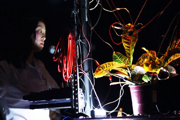 In a black-lit room a performer stares towards a microphone, their face lit up by an LED light that illuminates tangled red chords strewn around a house plant.