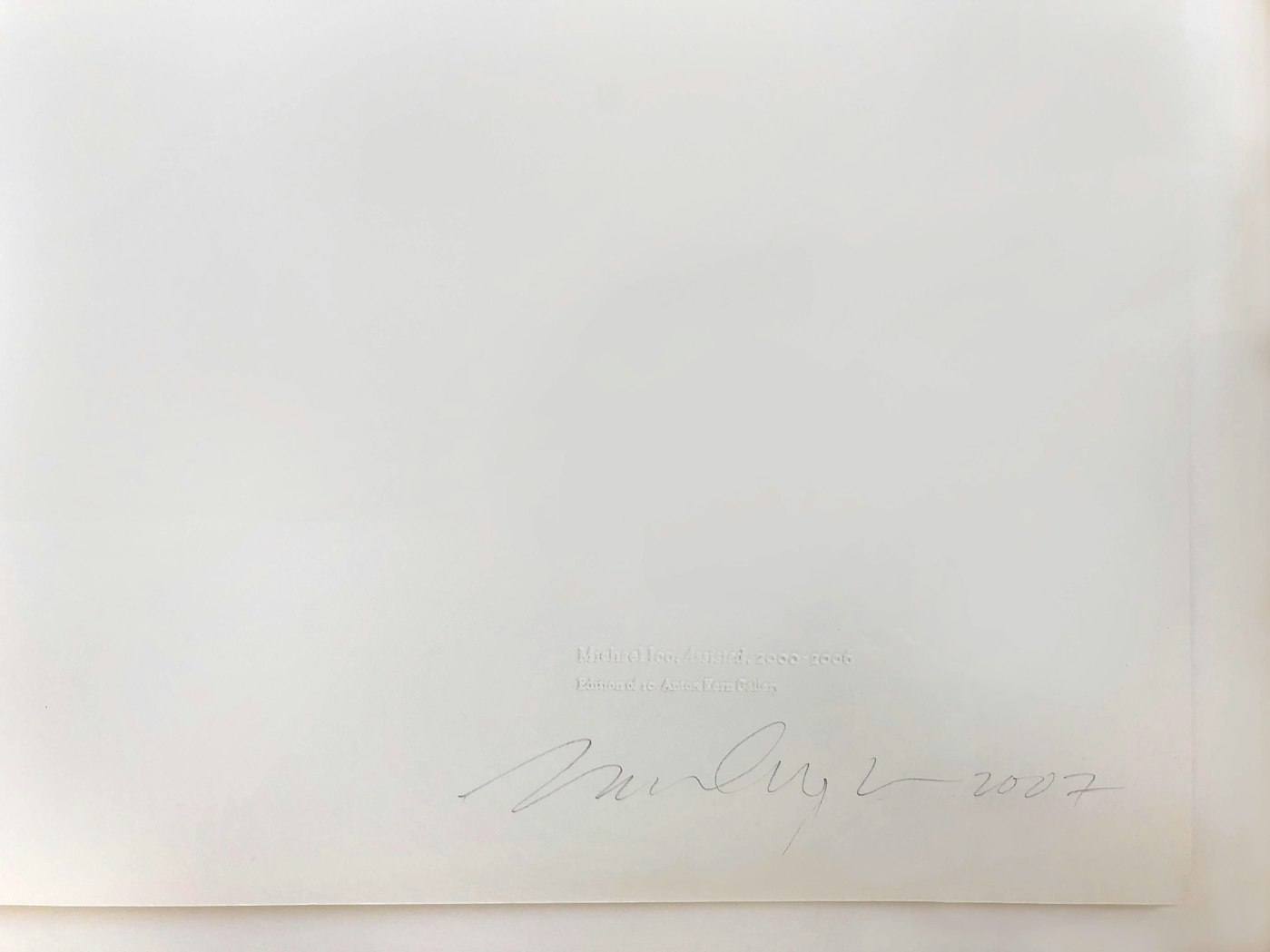 Michael Joo, Assisted, 2007