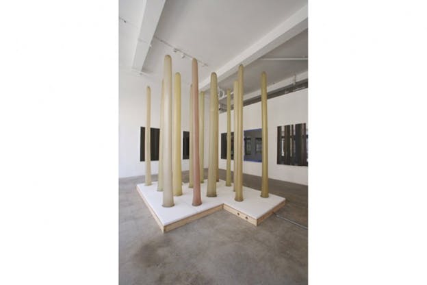  Institute of Contemporary Art, Los Angeles: Barbara T. Smith exhibition