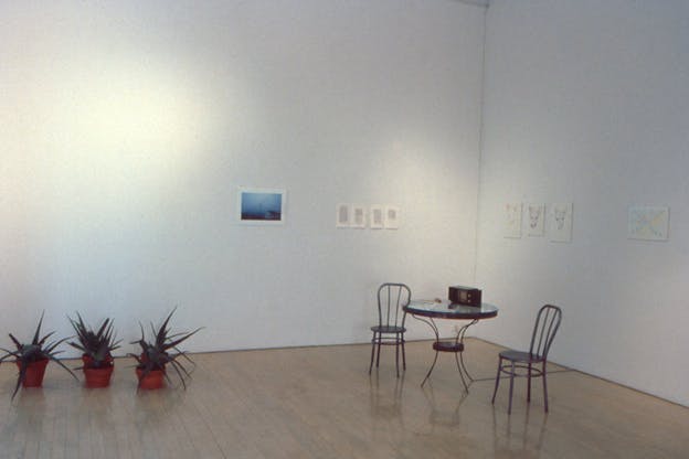 Two white walls with minimal pictures stand behind a small round table with two chairs. Orange plant pots with long green leaves touching the ground stand on the left of the table.