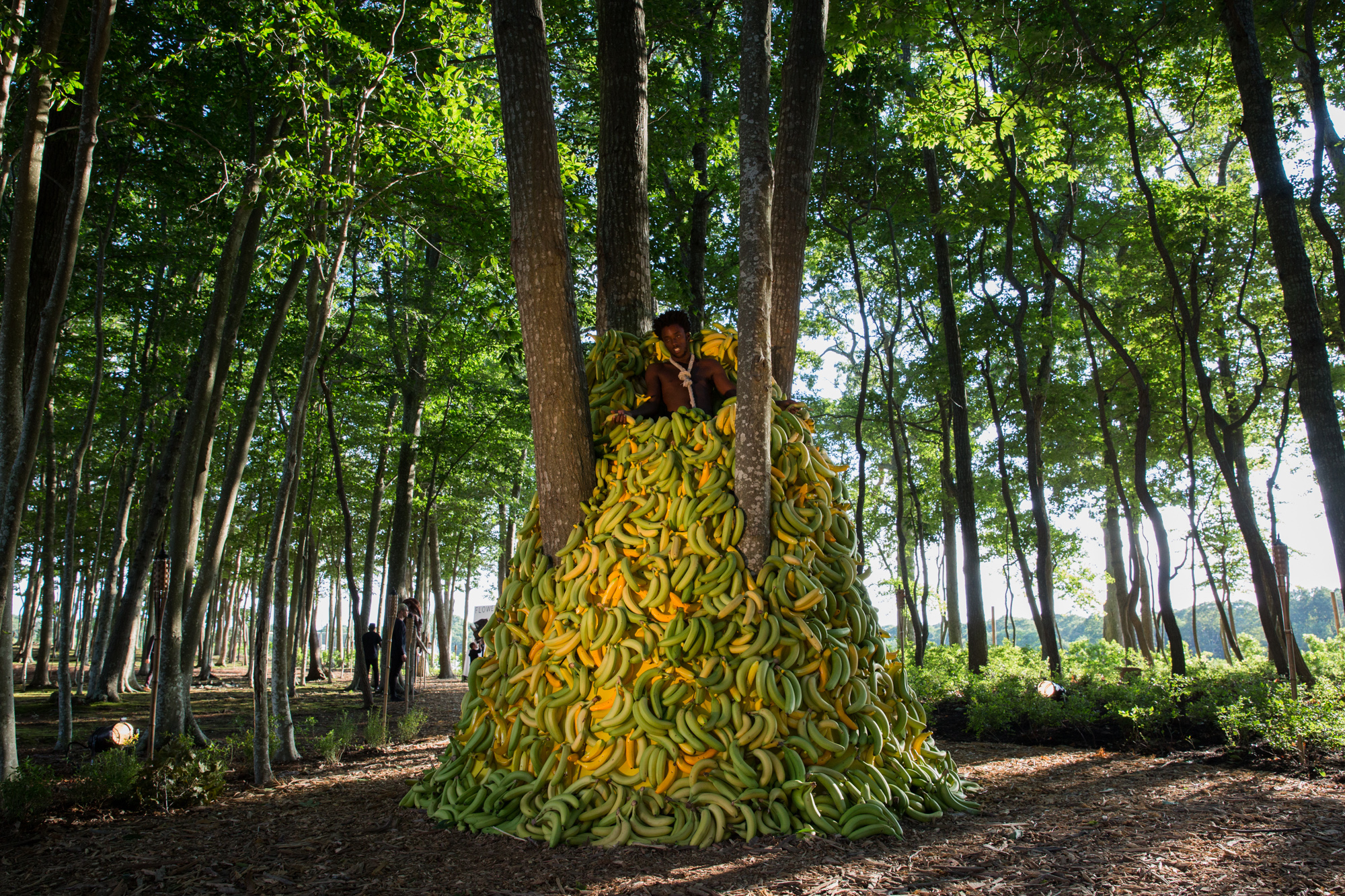 Nile Harris stands towards the top of a pile of yellow and green bananas in a forest of thin trees lit by sunlight. The bananas surround a cluster of four trees at the center of which Nile Harris stands. He is visible from the chest up, each hand clutches a banana, resting on the bananas below him. He is shirtless and wears a noose, the end of which disappears into the bananas. There are production crew members visible in the distant background. 