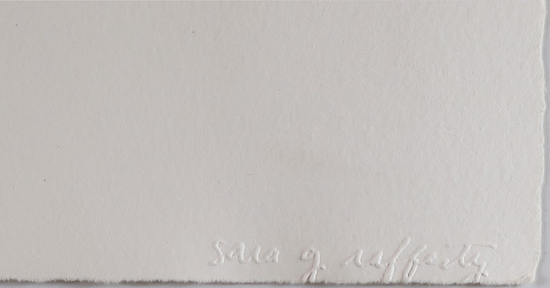 Sara Greenberger Rafferty, Disappearing Act Screen Test, 2005
