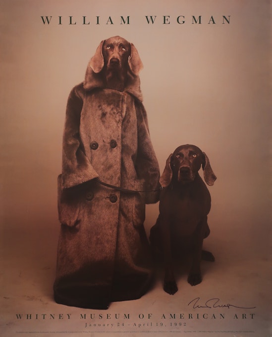 William Wegman, William Wegman, January 24 - April 19, 1992