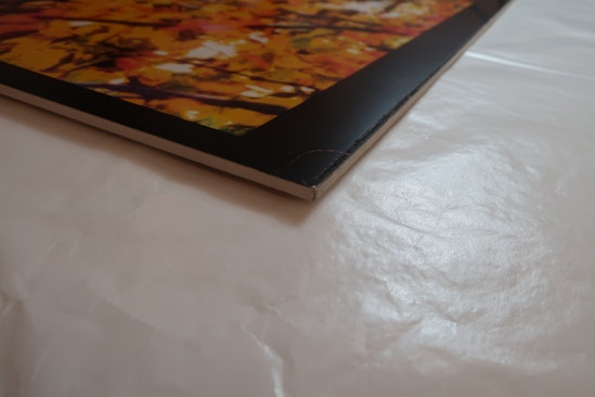 Rochelle Feinstein, STOP, 2000