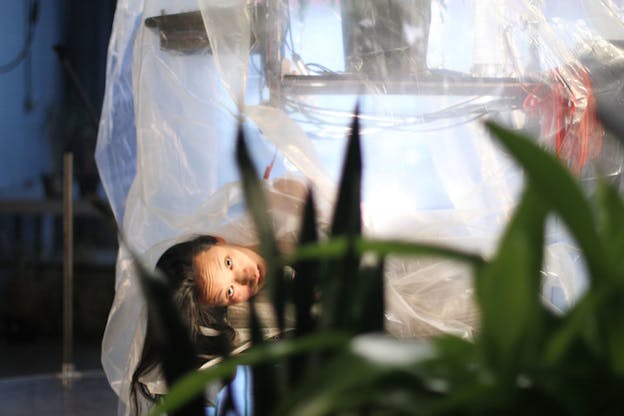 Performer wrapped in hanging plastic sticks their head out sideways, wrinkling their forehead. In the front of the shot, green plants are blurred.