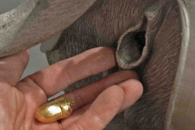 A close up image of Lincoln performing with the mechanical pig, catching a golden acorn which has come out of the pig's rear end. 