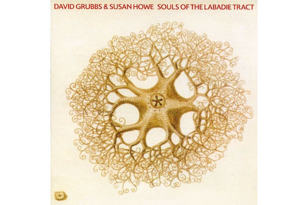 The front of an album cover with a golden brown organic star shape branching outward into a spiral pattern. At the top, red text reads, 