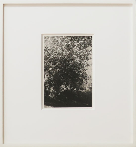 Robert Adams, Pine Valley Oregon, 2003