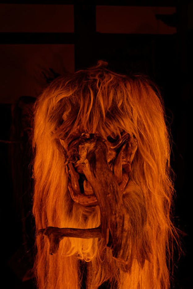 A close up of one sculpture with a center made of intertwined tree branches, one of which protrudes out. This is covered with hair arranged to look like a hair do with bangs and long hair. 