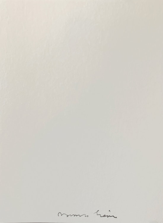 James Siena, James Siena, March 25 - April 30, 2011