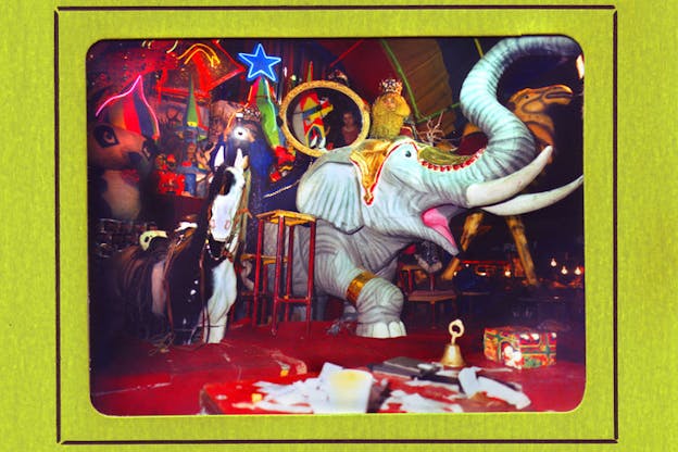 A photograph is surrounded by a green background. A large plastic elephant is in the middle of the photograph. It is surrounded by neon lights and other toys. The ground is dark red.  