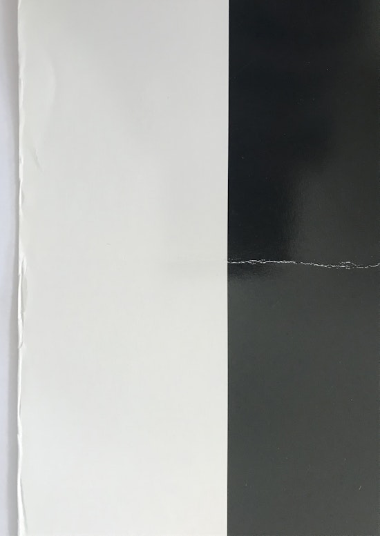Alex Katz, Large Birch, 2005, null