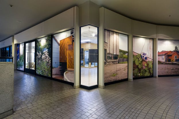 Central column with sweeping walls display screened photographs of a house, leaves growing alongside a casette player, a rural parking lot, a fluorescent-lit room, a narrow driveway behind a wooden house, and white flowers. 