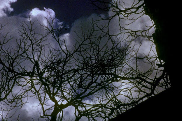 An image of a darkened, cloudy sky. The branches of bare trees can be seen and the top edges of buildings are visible on the lower left of the image.
