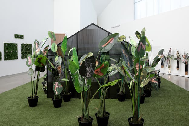 A makeshift green field stands in the middle of a white space, above it a house with blurred glass panels. In front of it closest to the viewer stand pots with long green leaves that have imprinted on them figures and faces.