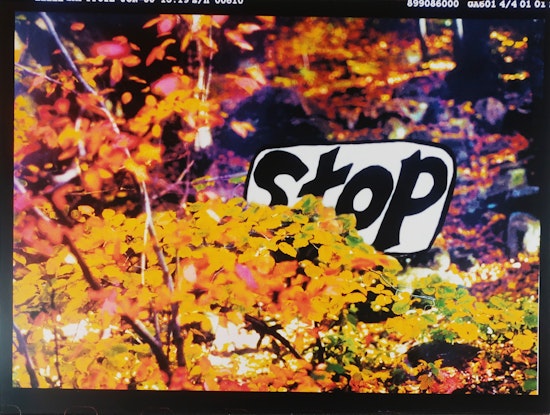 Rochelle Feinstein, STOP, 2000