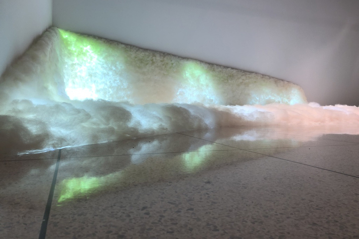  The Mary S. Byrd Gallery of Art at;;Augusta University: Bojana Ginn exhibition