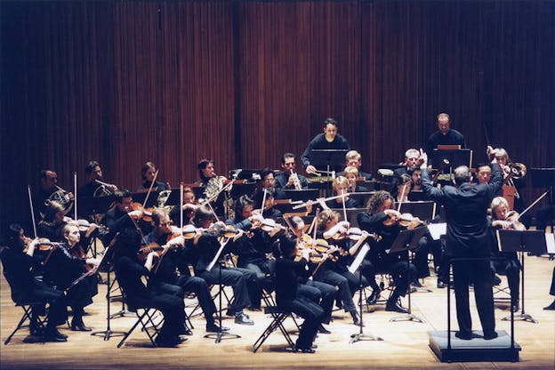 An orchestra with people dressed in black play various musical instruments.