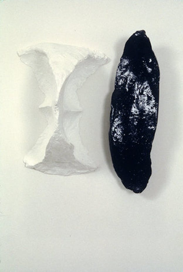 Two objects rest side by side against a white background. On the left, there is a white object with oval shaped negative spaces. On the left, there is a black object shaped like a long oval.
