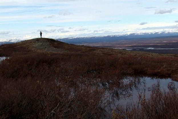 A black silhouette stands on top of a small dry hill. The blue sky has clouds and is cast upon snowy peaks of mountains. Chestnut red bushes are reflected on a small lake that they surround. 