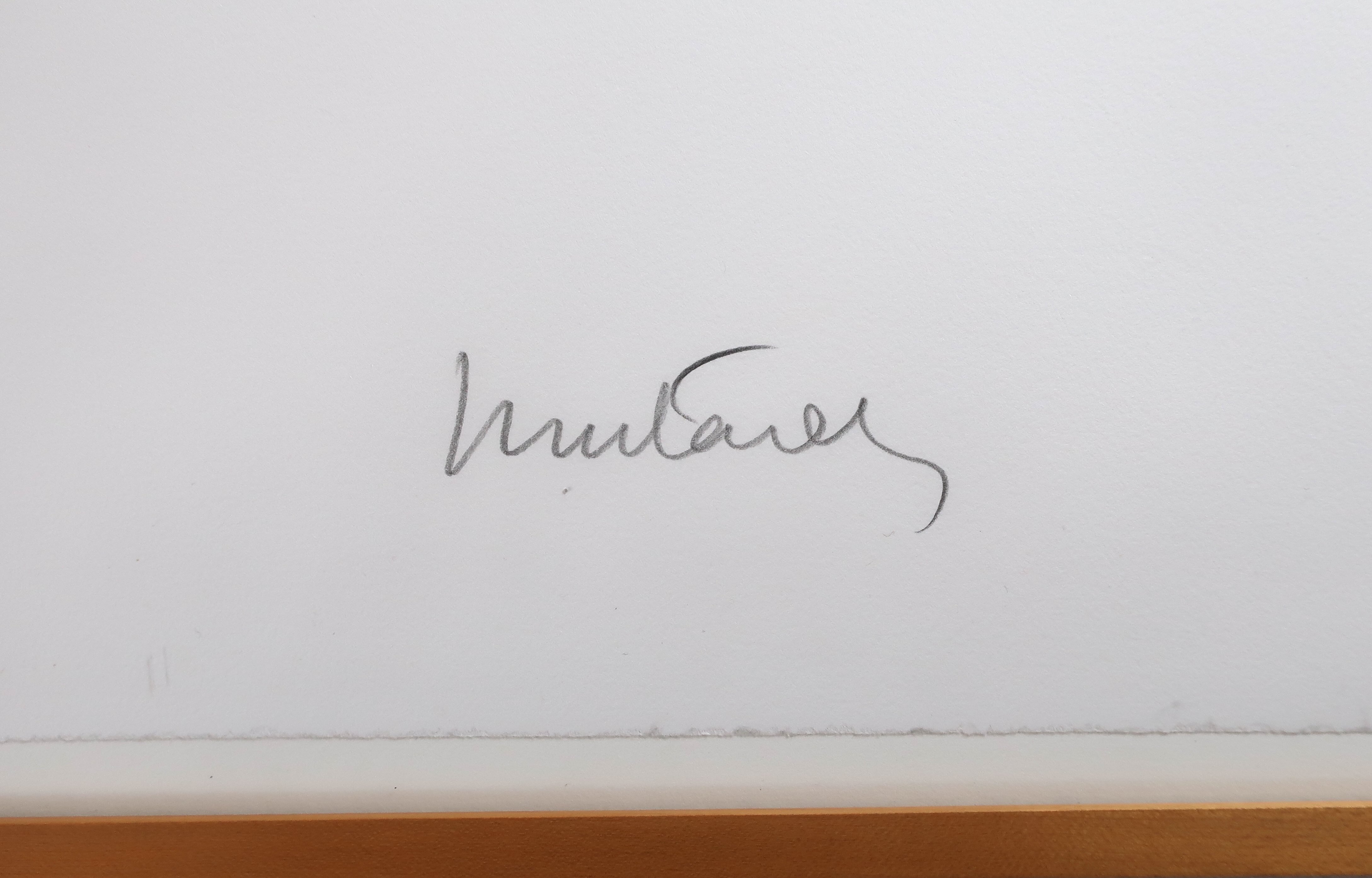 Muntadas, 6 Mai 1994, 1994