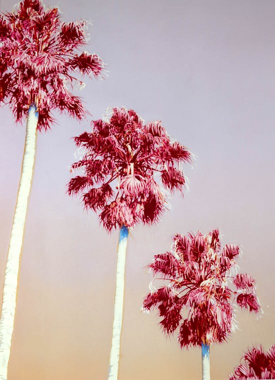 Mel Ramos, Four Seasons, Spring 1982, null
