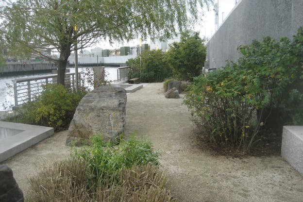 Bushes and a tree on a a sandy area. A water canal extends in the distance farthest from the viewer. 