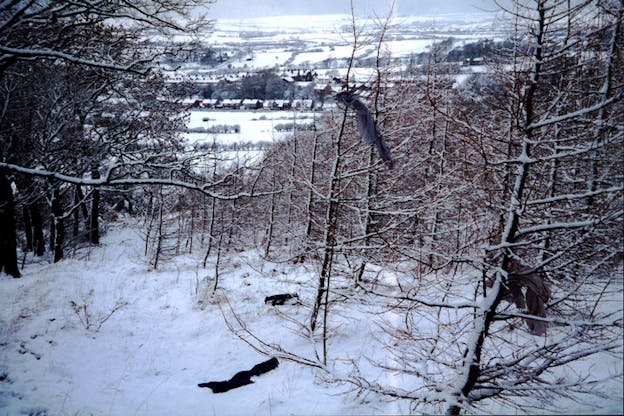 A film still of a snowy tree-covered mountain side overlooking a town.