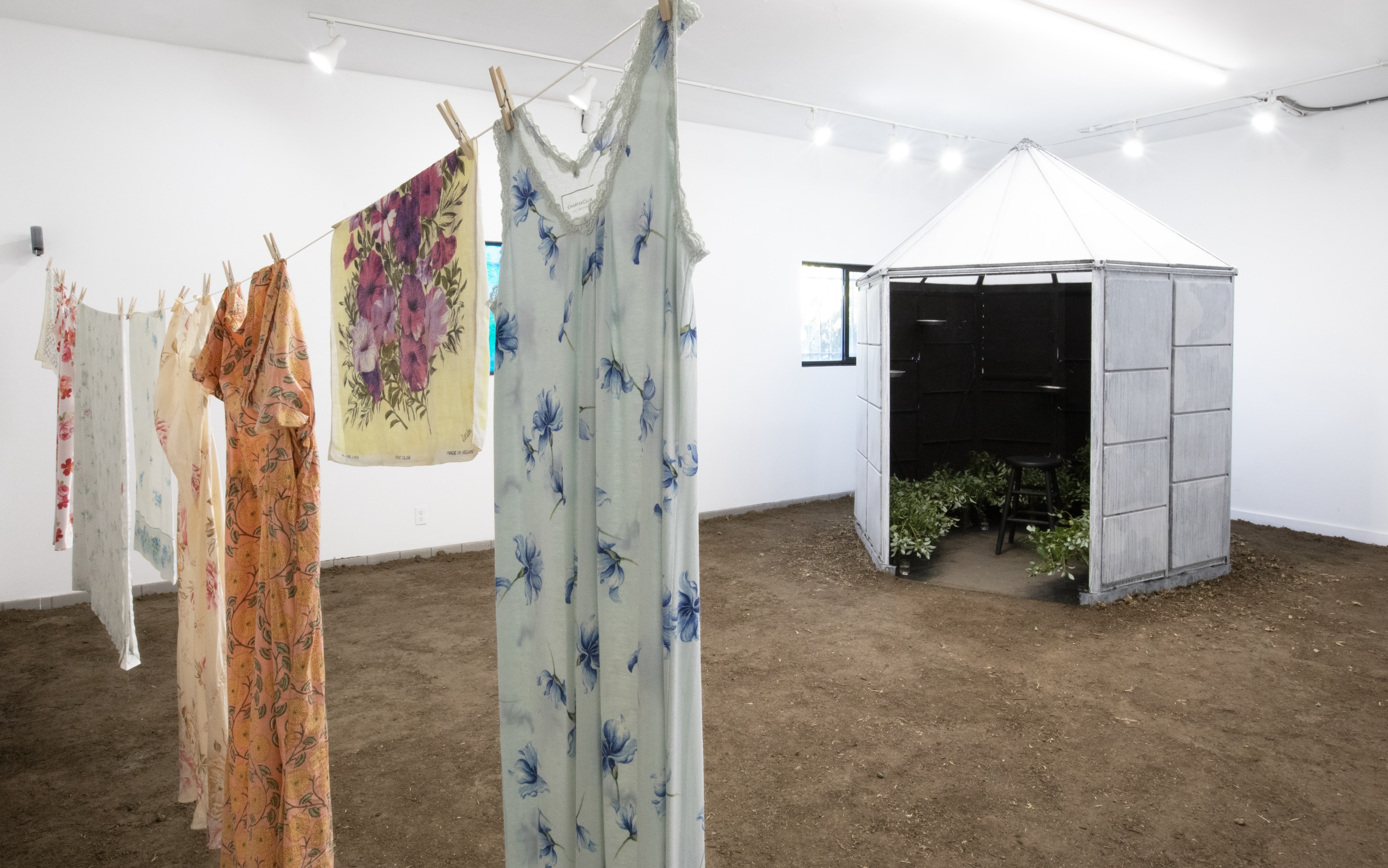 Creative Research Grants: Process